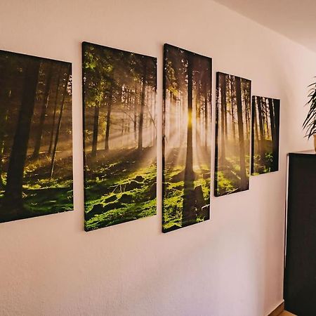 Franzis Feriendomizil Im Herzgebirge Am Skihang Auerbach  Exteriér fotografie