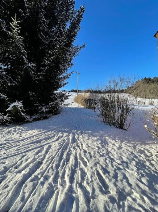 Franzis Feriendomizil Im Herzgebirge Am Skihang Auerbach  Exteriér fotografie