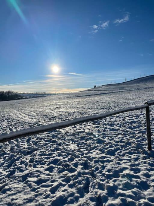 Franzis Feriendomizil Im Herzgebirge Am Skihang Auerbach  Exteriér fotografie