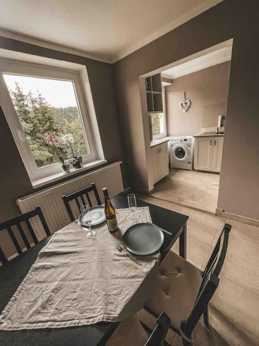 Franzis Feriendomizil Im Herzgebirge Am Skihang Auerbach  Exteriér fotografie
