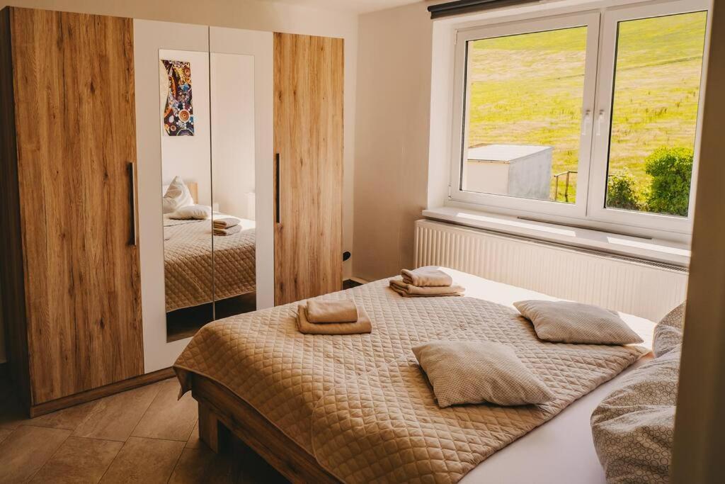 Franzis Feriendomizil Im Herzgebirge Am Skihang Auerbach  Exteriér fotografie