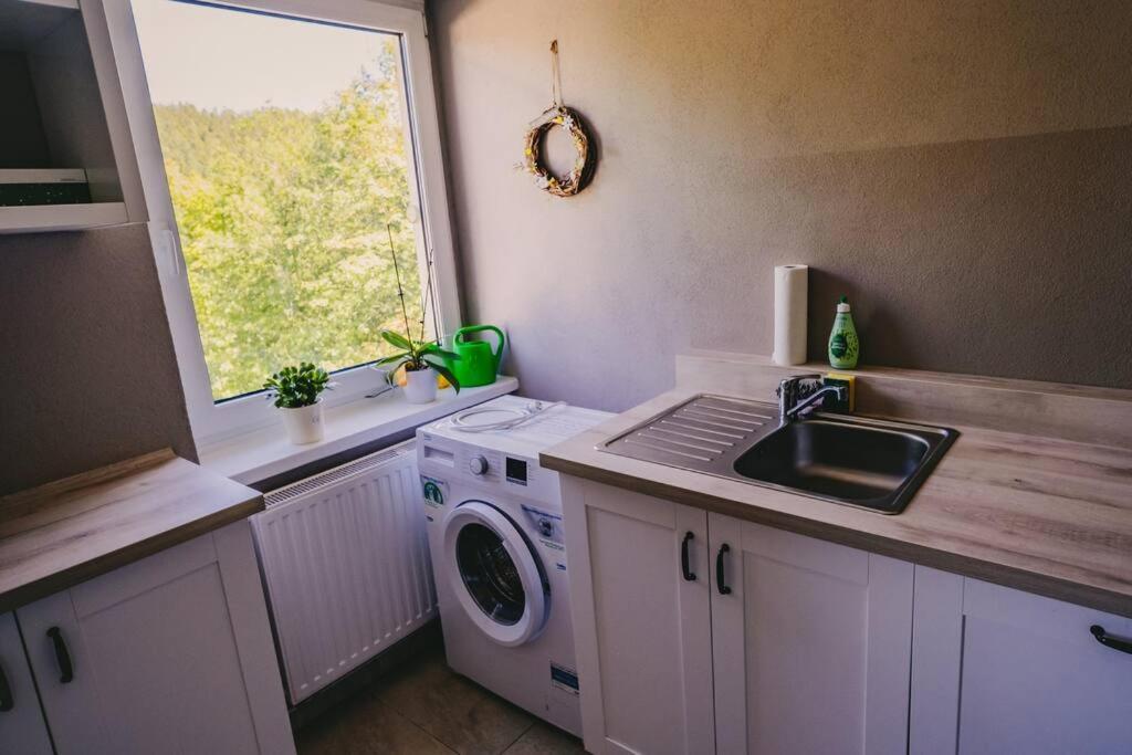 Franzis Feriendomizil Im Herzgebirge Am Skihang Auerbach  Exteriér fotografie