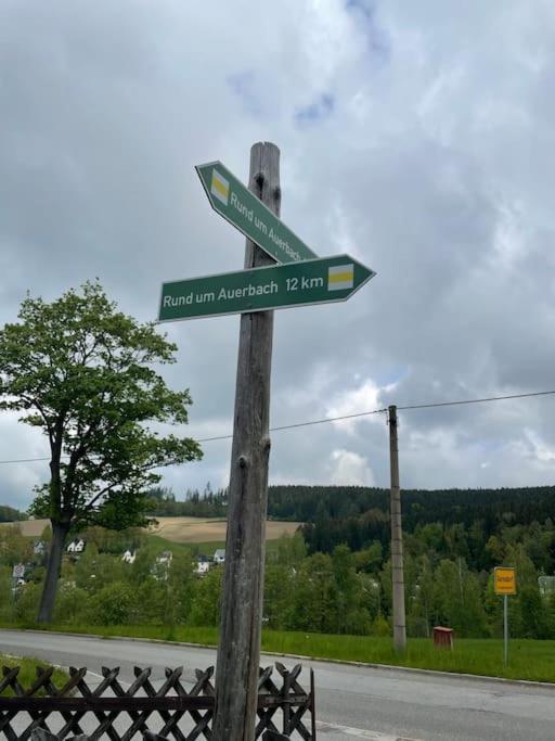Franzis Feriendomizil Im Herzgebirge Am Skihang Auerbach  Exteriér fotografie